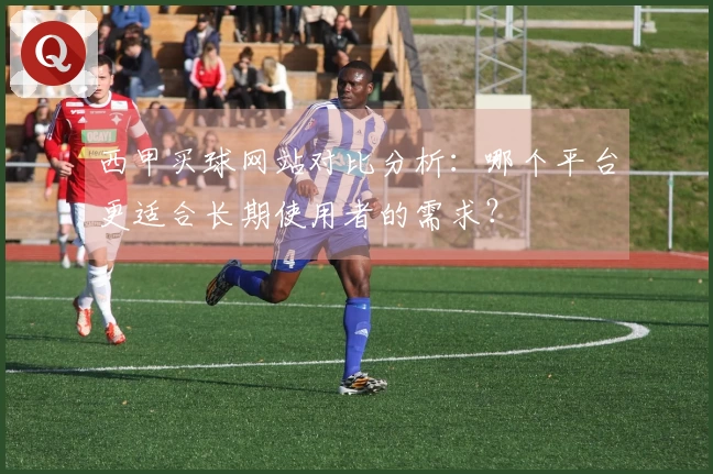 西甲买球网站对比分析：哪个平台更适合长期使用者的需求？