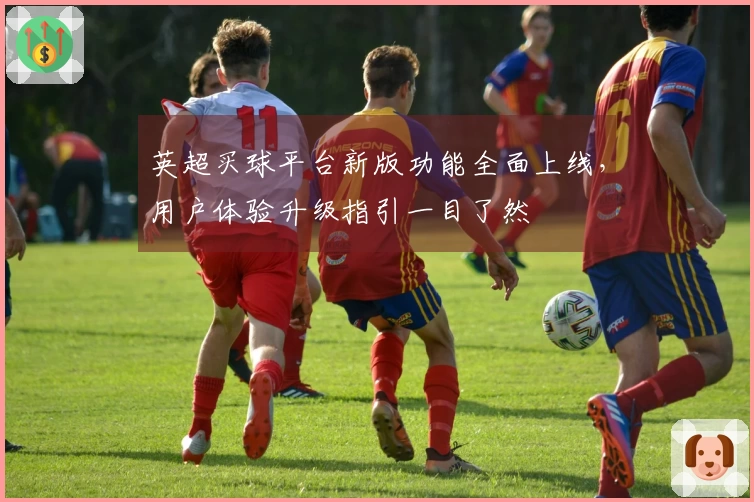 英超买球平台新版功能全面上线，用户体验升级指引一目了然