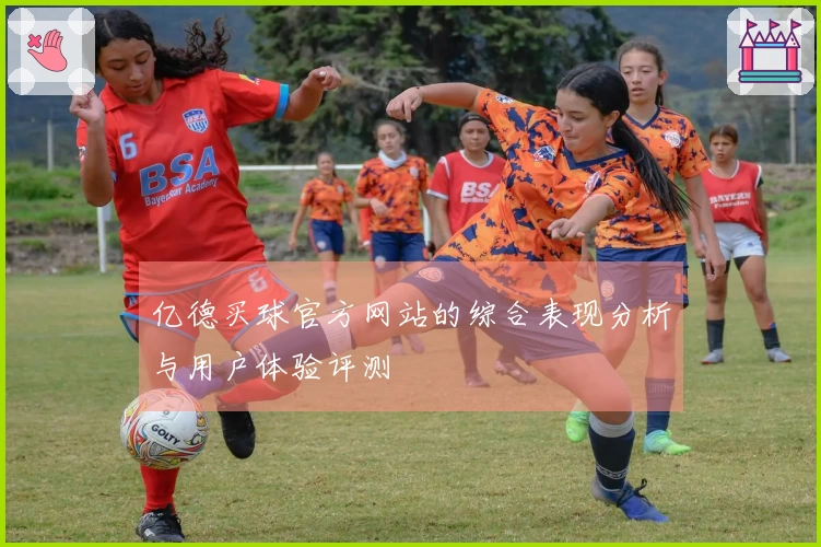 亿德买球官方网站的综合表现分析与用户体验评测