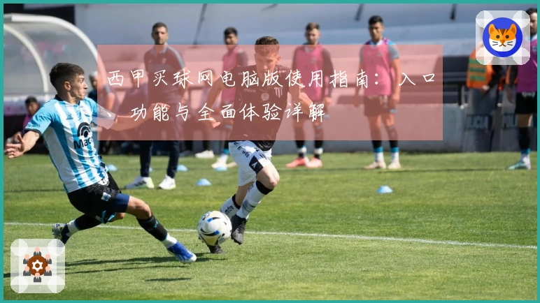 西甲买球网电脑版使用指南：入口、功能与全面体验详解